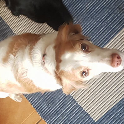 Emma vor der Ernährungsumstellung