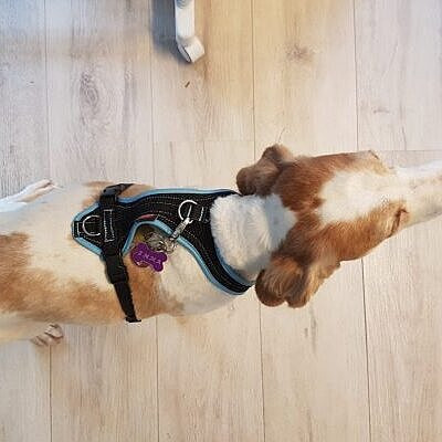 Emma nach der Ernährungsumstellung